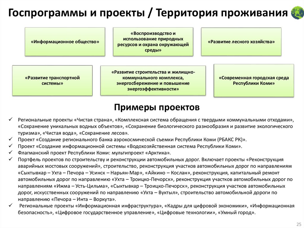 Паспорт проекта цифровое государственное управление