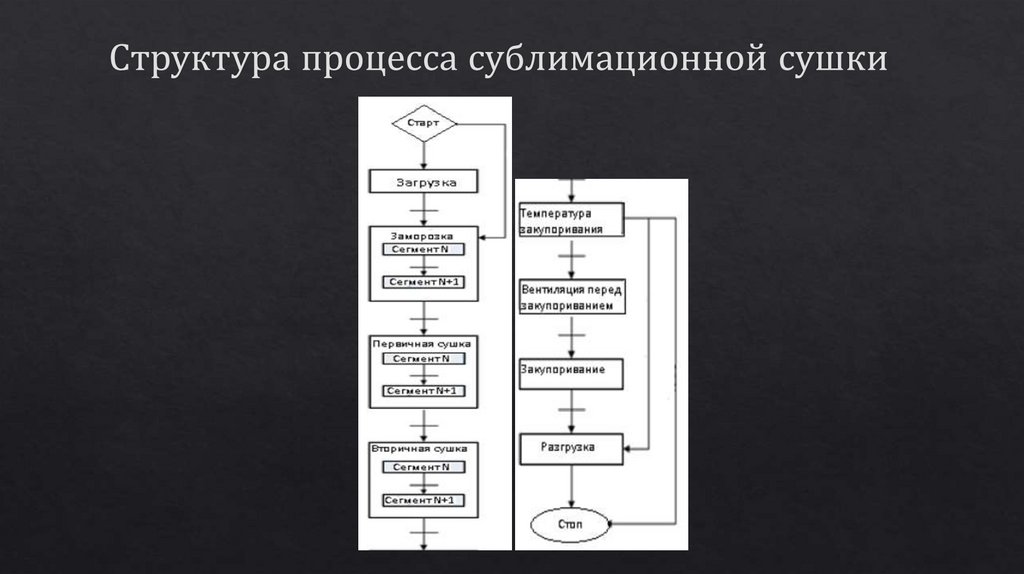 Структура процесса сублимационной сушки