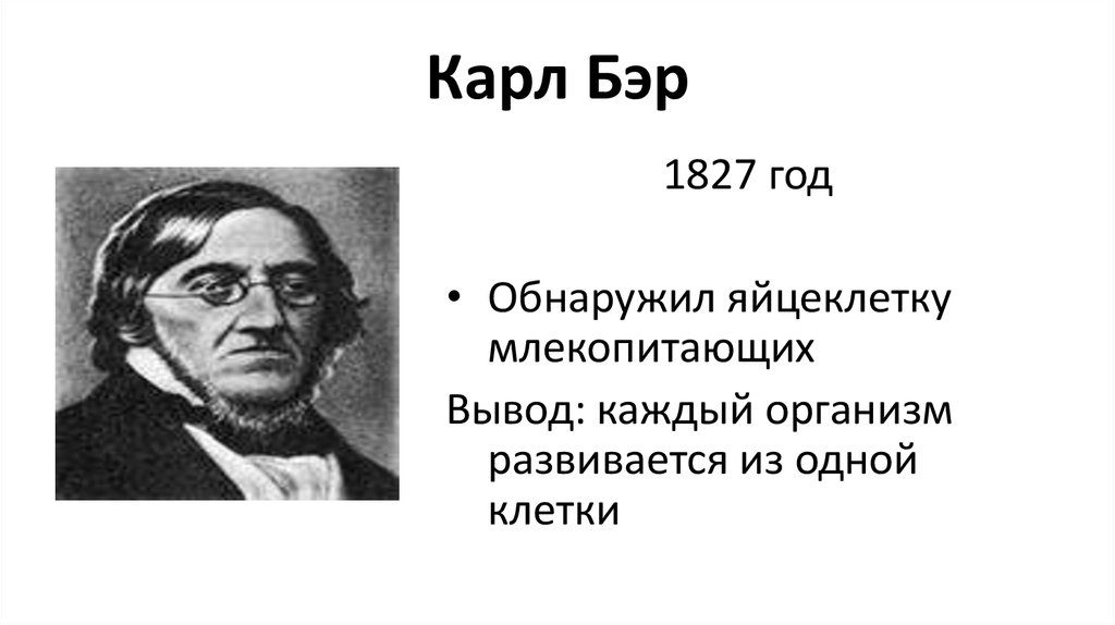 Карл бэр презентация