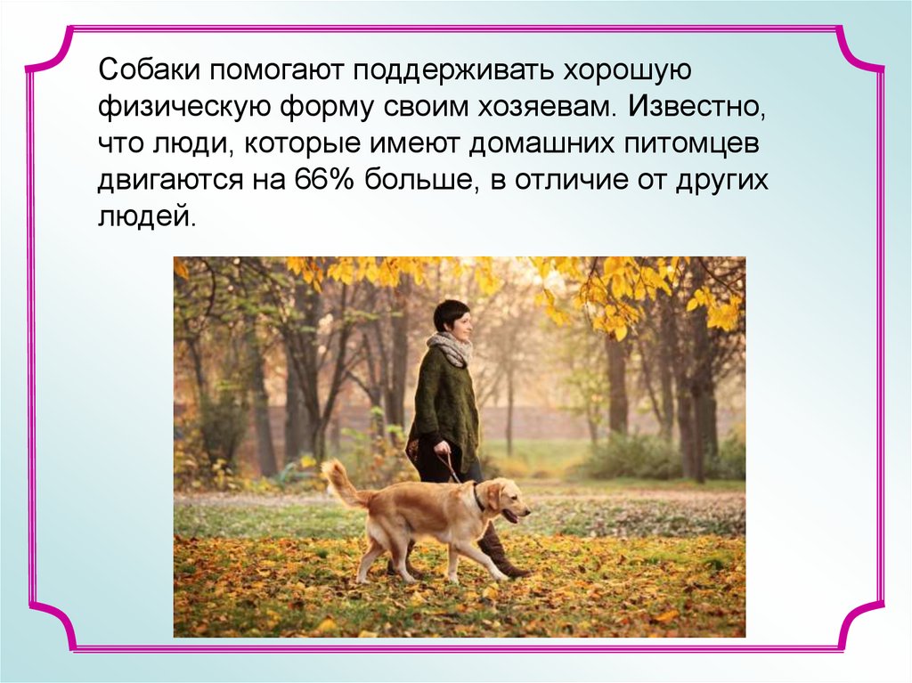Собака и человек 1 класс. Роль собаки в жизни человека. Собаки в жижизни человека. Поль собсуи в жизни человека. Собака в жизни человека проект.
