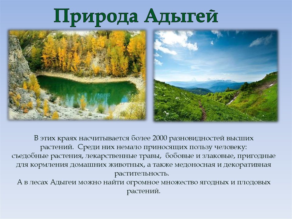 Презентация охрана природы краснодарского края