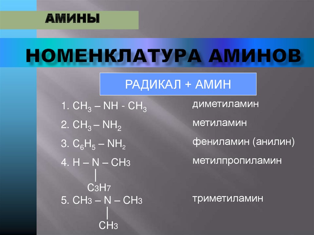 Амины презентация по химии