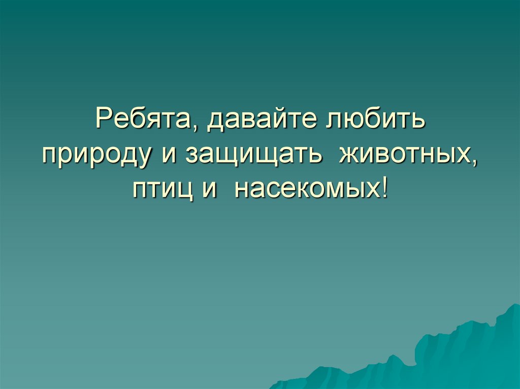 Человек должен стать другом природы проект