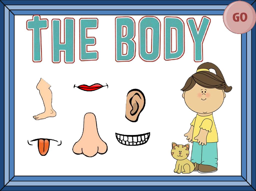 Презентация body parts