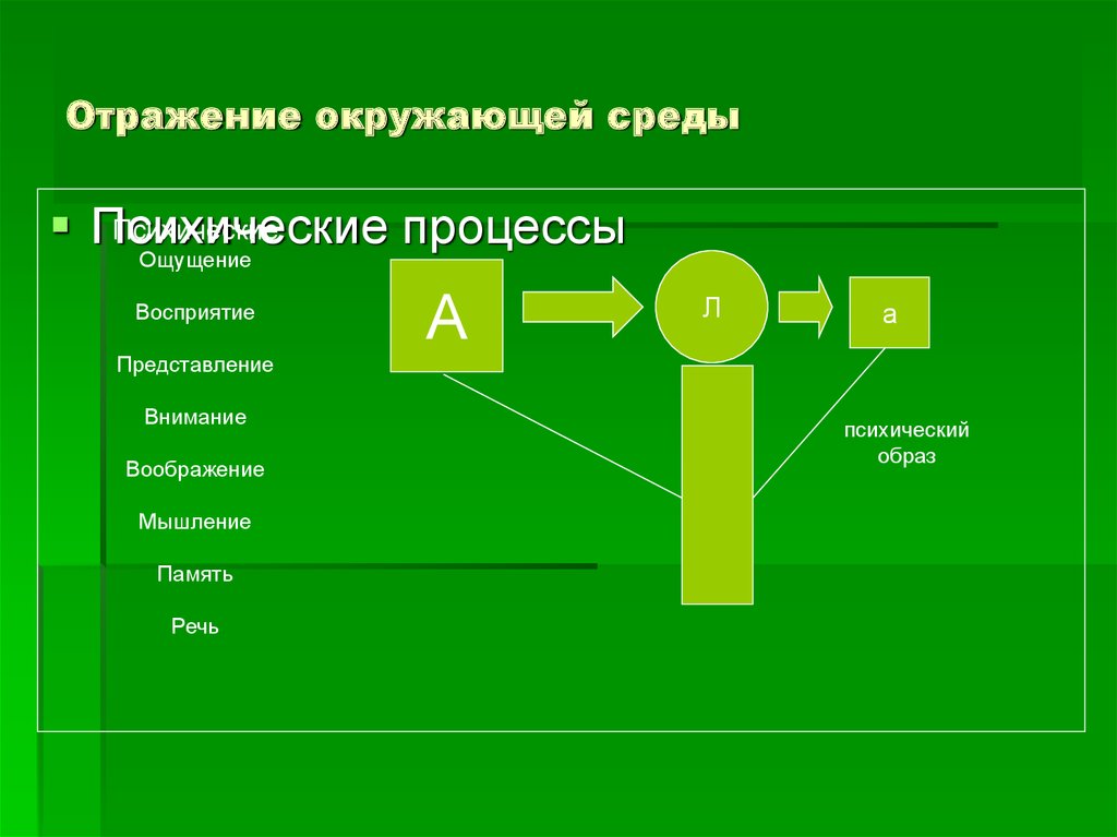 Особенности психики человека презентация