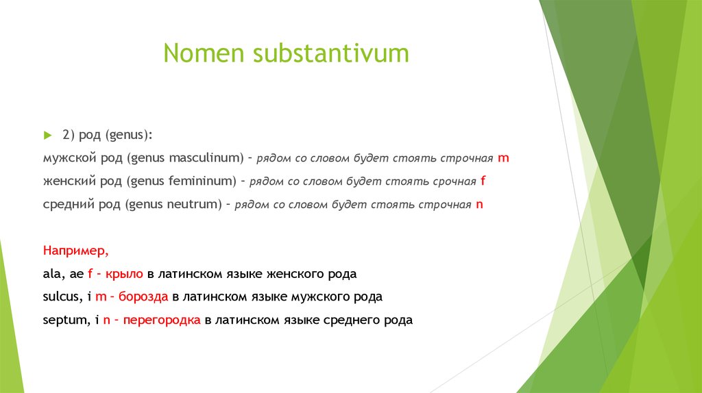 Род мужской отзыв. Nomen substantivum латынь. Номены. Термины и номены примеры. Примеры номенов.