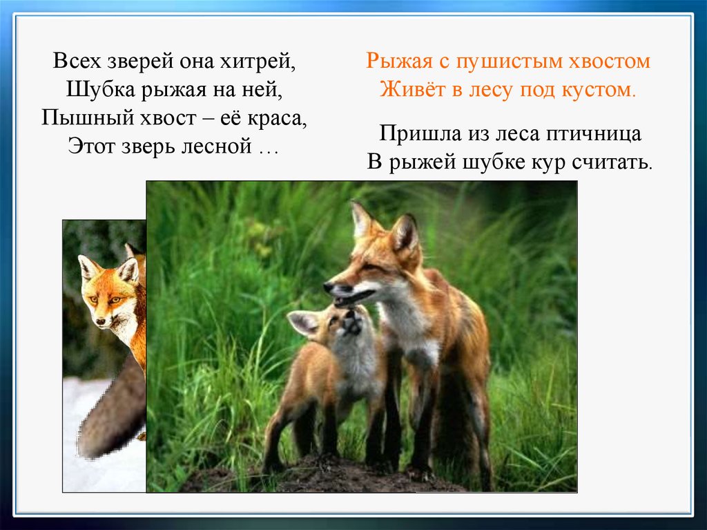 С михалков важный совет д хармс храбрый еж н сладков лисица и еж презентация