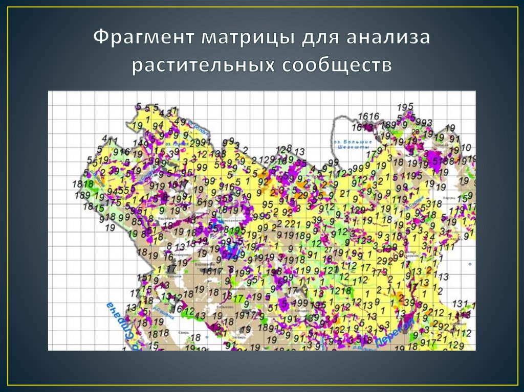 Фрагмент матрицы для анализа растительных сообществ