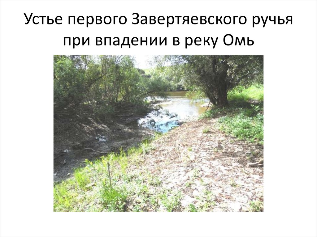 Устье первого Завертяевского ручья при впадении в реку Омь
