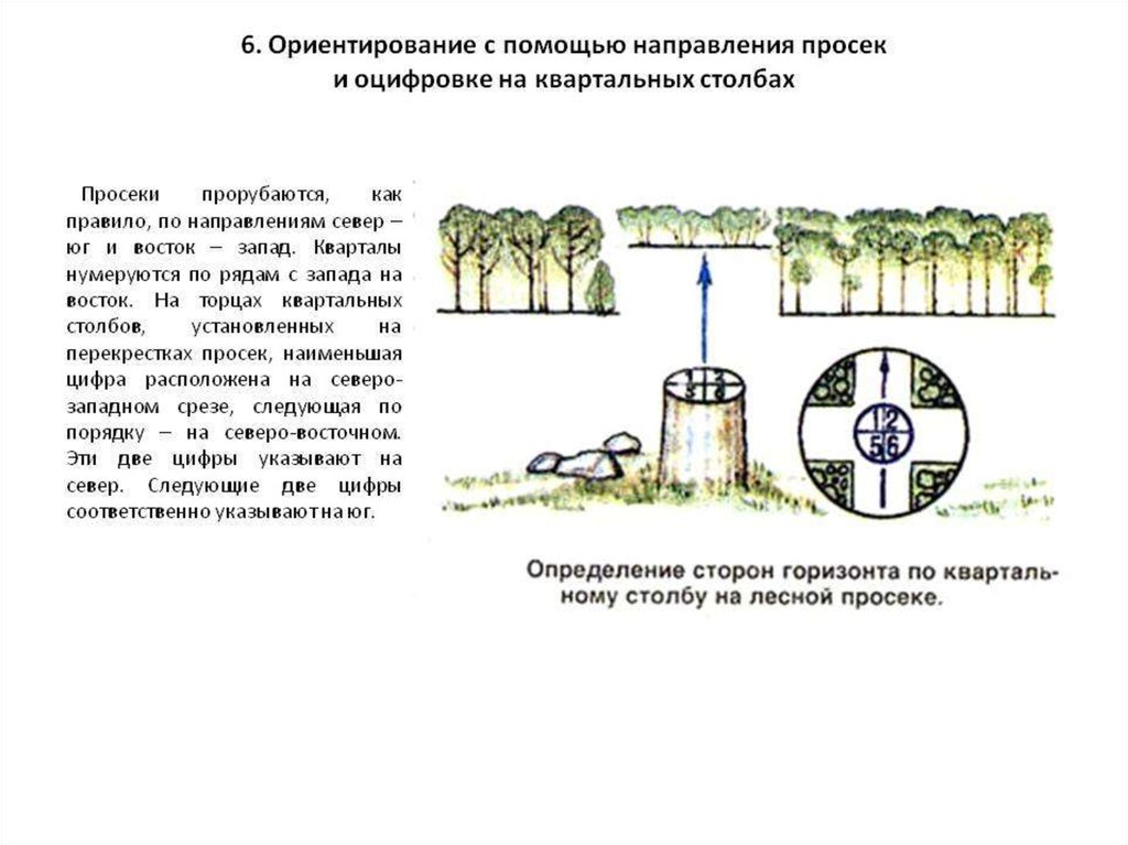 Каким способом место. Ориентирование по квартальным столбам. Ориентирование в лесу по прос. Ориентирование с помощью просек. Ориентирование на местности по квартальным столбам.