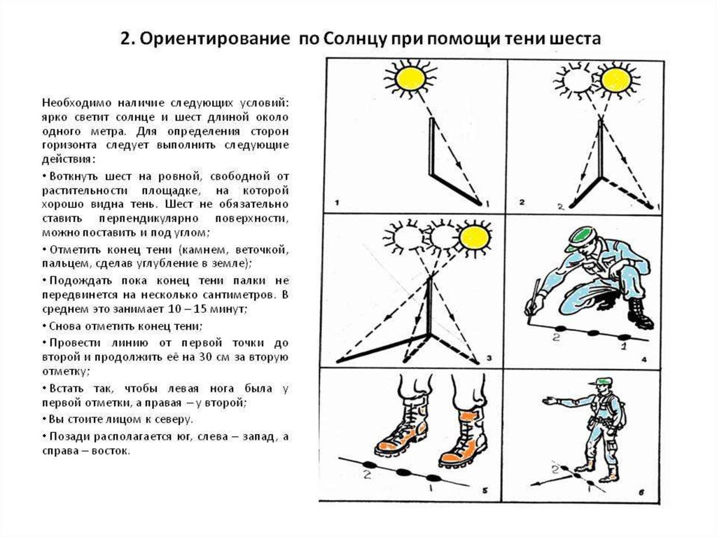 Ориентированная определенным. Ориентирование по солнцу ОБЖ. Ориентирование на местности по солнцу. Ориентирование на местности по солнцу тени. Ориентирование по тени от палки.