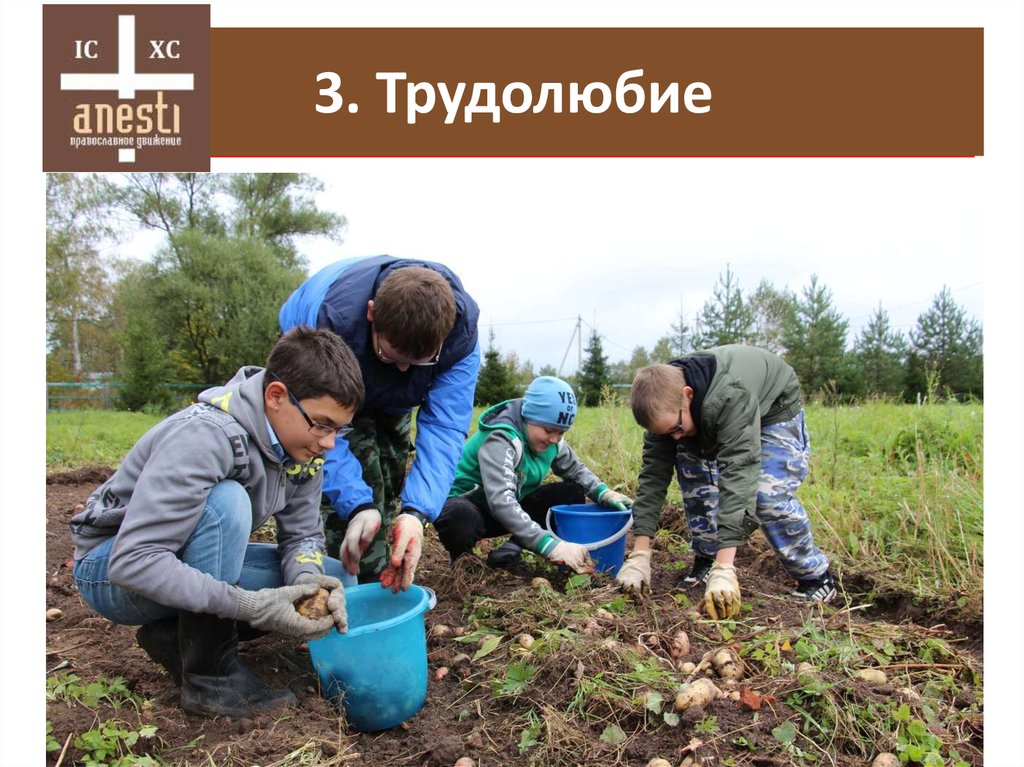 3. Избалованность