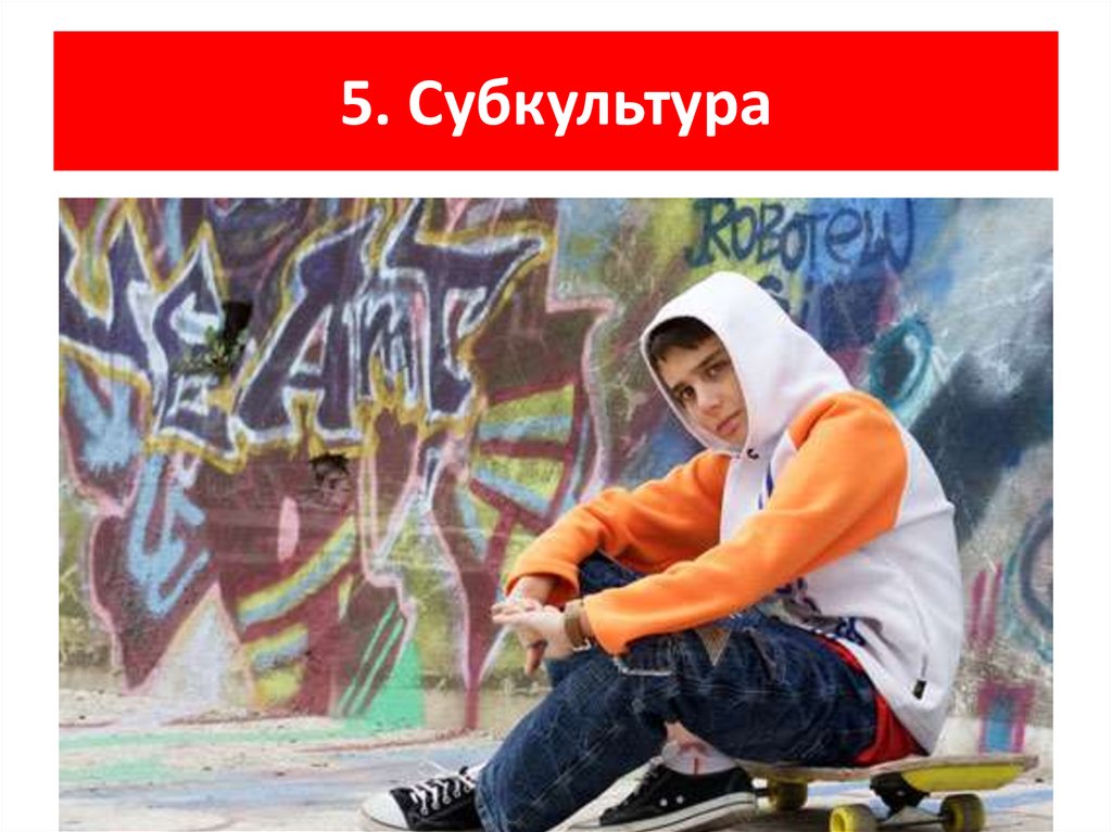 5. Субкультура