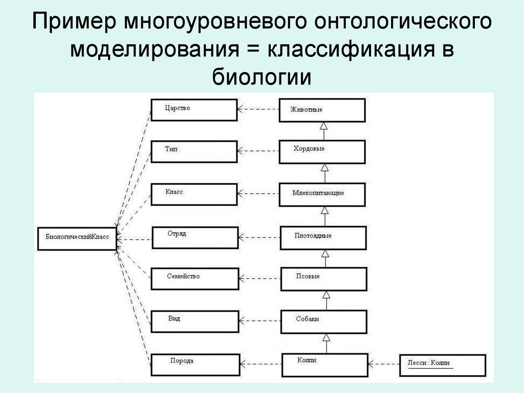 Классификация списков. Многоуровневые примеры. Многоуровневая классификация. Пример многоуровневого список по биологии. Многоуровневое описание пример.