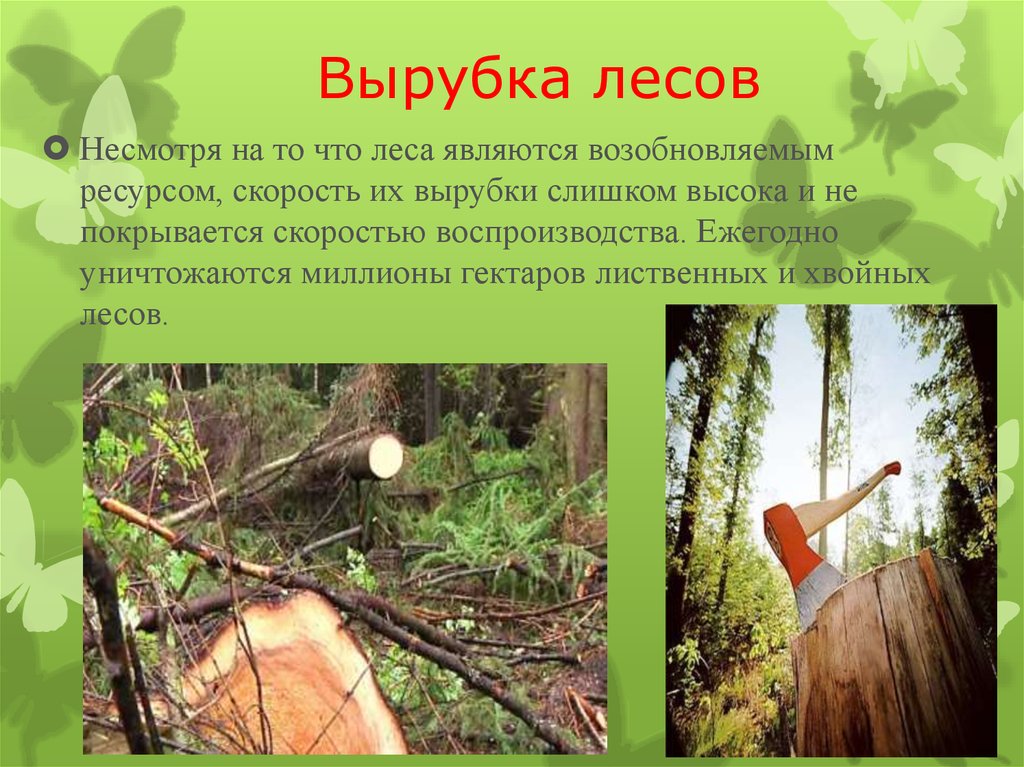 Зачем рубить. Вырубка лесов. Проблема вырубки деревьев. Вырубка лесов человеком. Вырубка лесов проект.