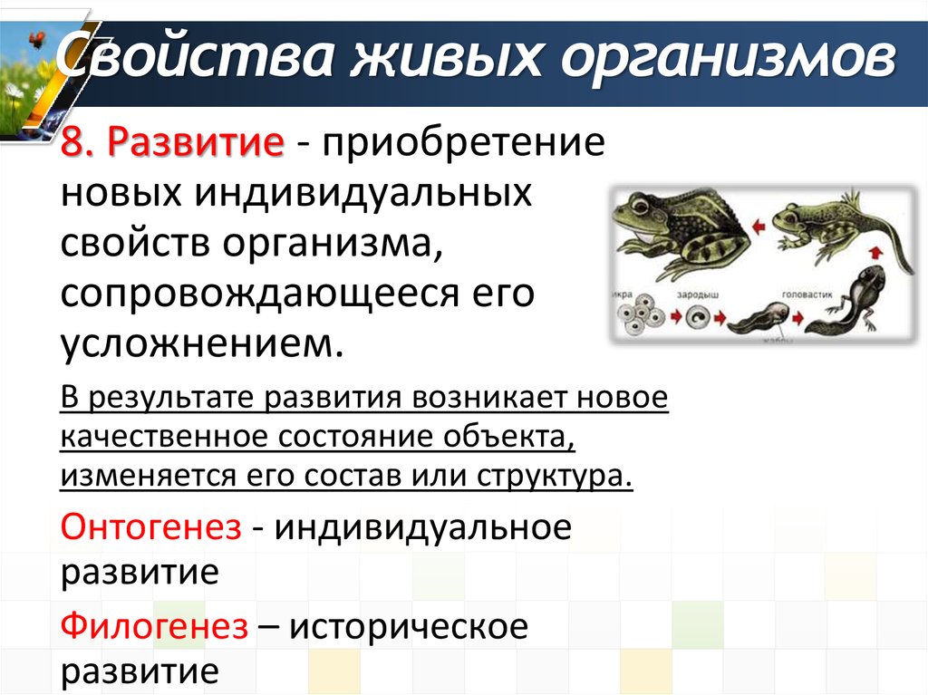 Свойства живого презентация 9 класс