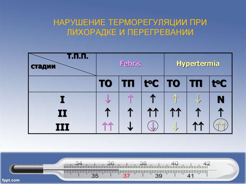 Нарушение терморегуляции. Терморегуляция при лихорадке. Нарушение терморегуляции лихорадка. Лихорадка при нарушении терморегуляции. Стадии терморегуляции.