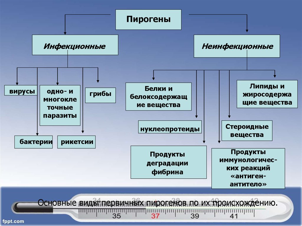 Пирогены. Инфекционные пирогены. Пирогены инфекционные и неинфекционные. Первичные неинфекционные пирогены. Виды инфекционных пирогенов.