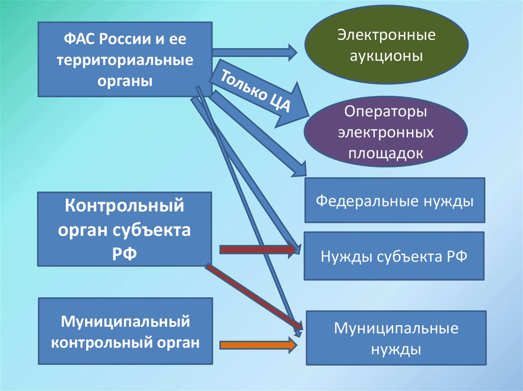 Аудит закупок по 44 фз