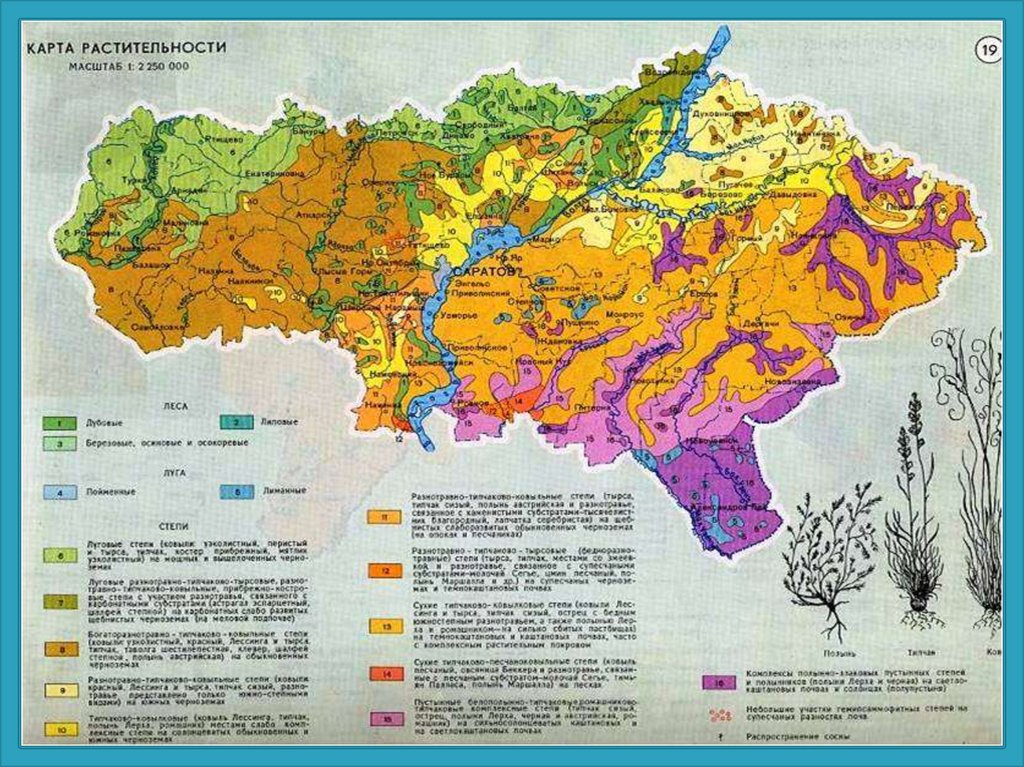 Климатическая карта саратовской области