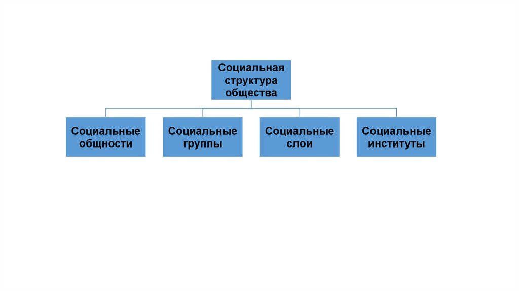 Структура соц групп