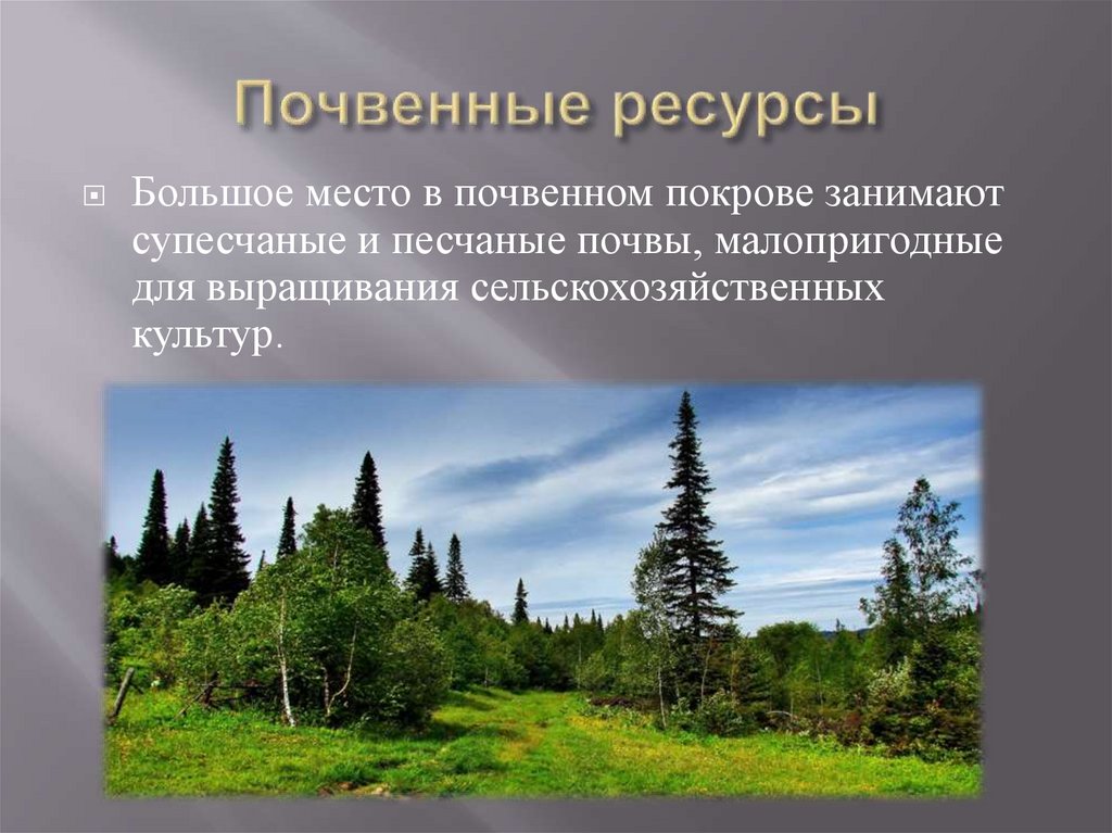 Большие ресурсы. Почвенные ресурсы Аргентины кратко. Юринский район доклад 4 класс.