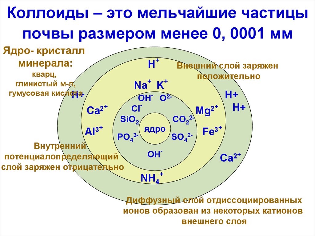 Частицы почвы