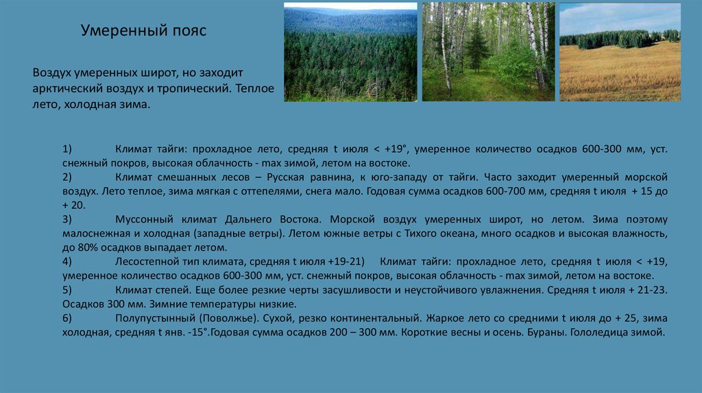Пояс тайги в россии. Умеренный пояс летом. Умеренный пояс в тайге. Воздух умеренных широт. Тайга климатический пояс.