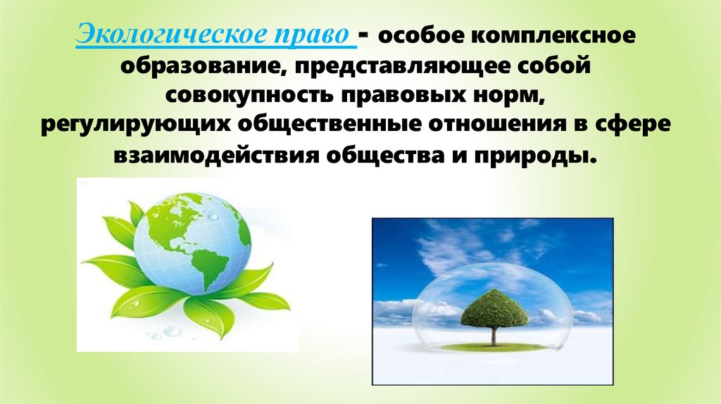 Презентация по теме экологическое право 10 класс обществознание