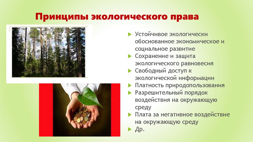 Природоохранным принципом является. Экологические обязанности граждан. Экологическое право.