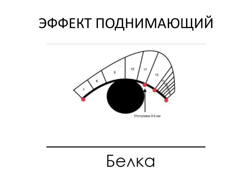 Схема беличьего эффекта 2д