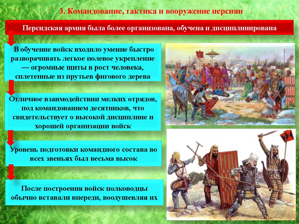 В какой битве персидское войско было окончательно. Состав Персидского войска. Состав персидской армии. Армия персидской державы. Военные тактики древности.