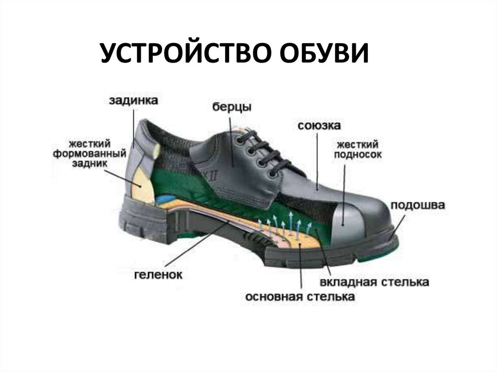 Подошвой называют. Детали обуви. Строение ботинка. Строение обуви детали. Наружные детали верха обуви ботинки.