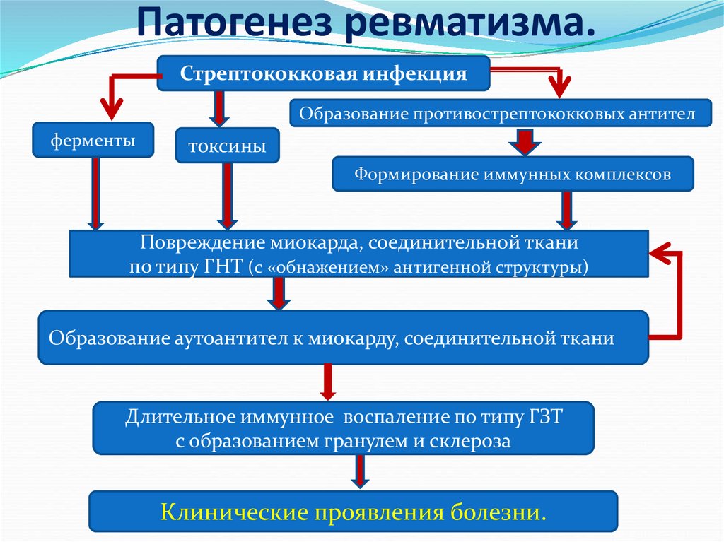 Патогенез роль. Острая ревматическая лихорадка патогенез схема. Ревматизм этиология патогенез. Патогенез ревматизма патофизиология. Ревматические болезни этиология патогенез.