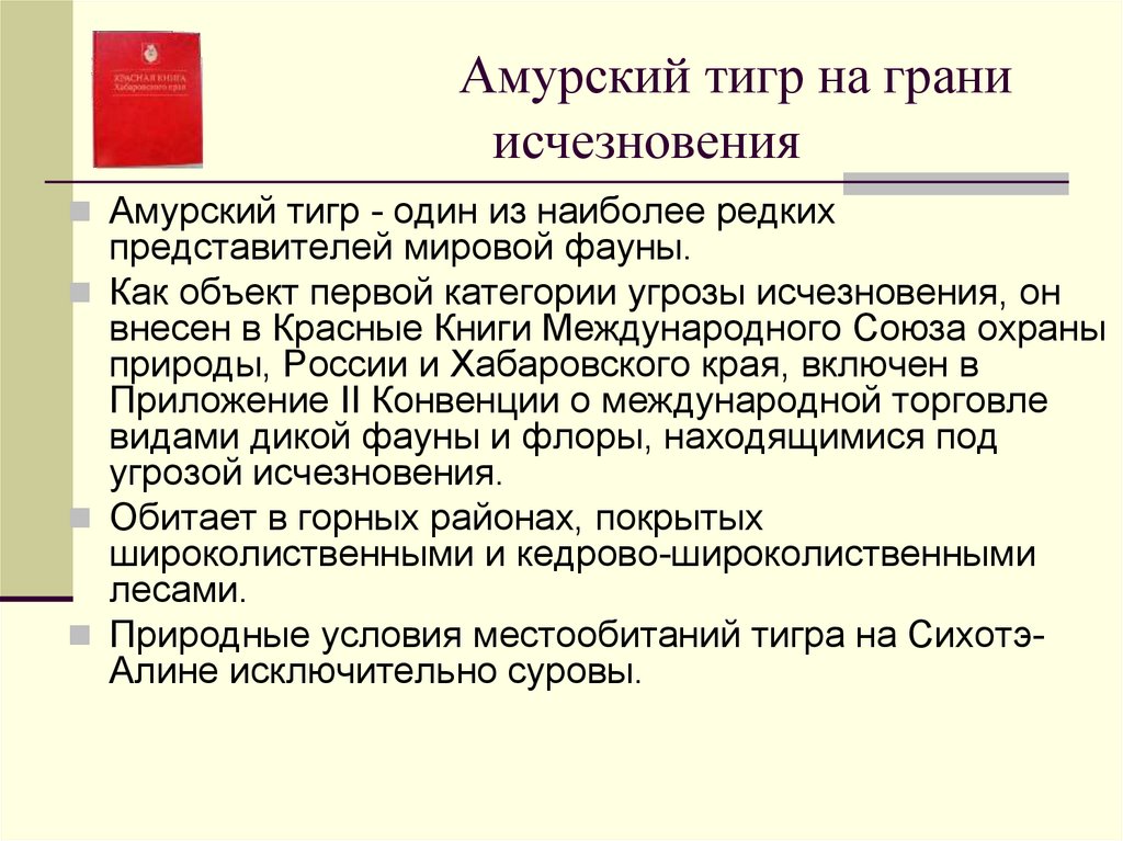 Амурский тигр на грани исчезновения