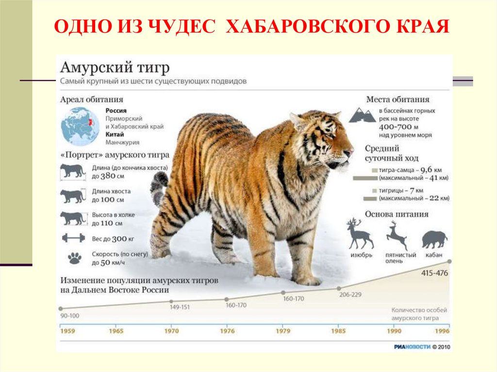 ОДНО ИЗ ЧУДЕС ХАБАРОВСКОГО КРАЯ