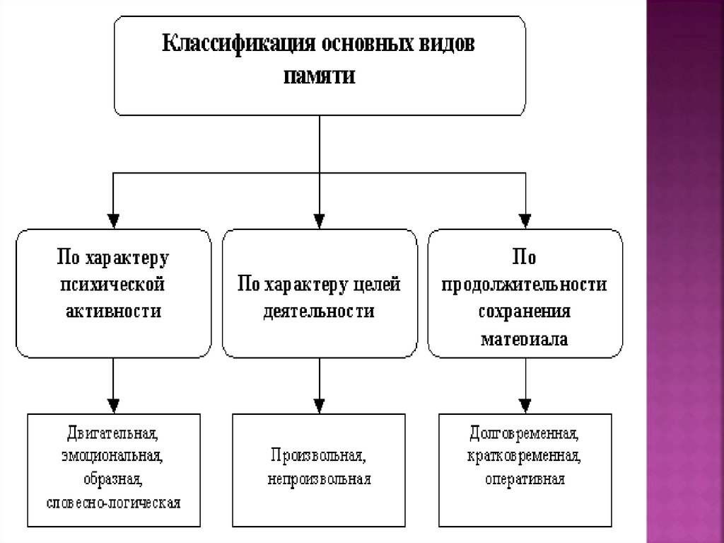 Память по характеру активности