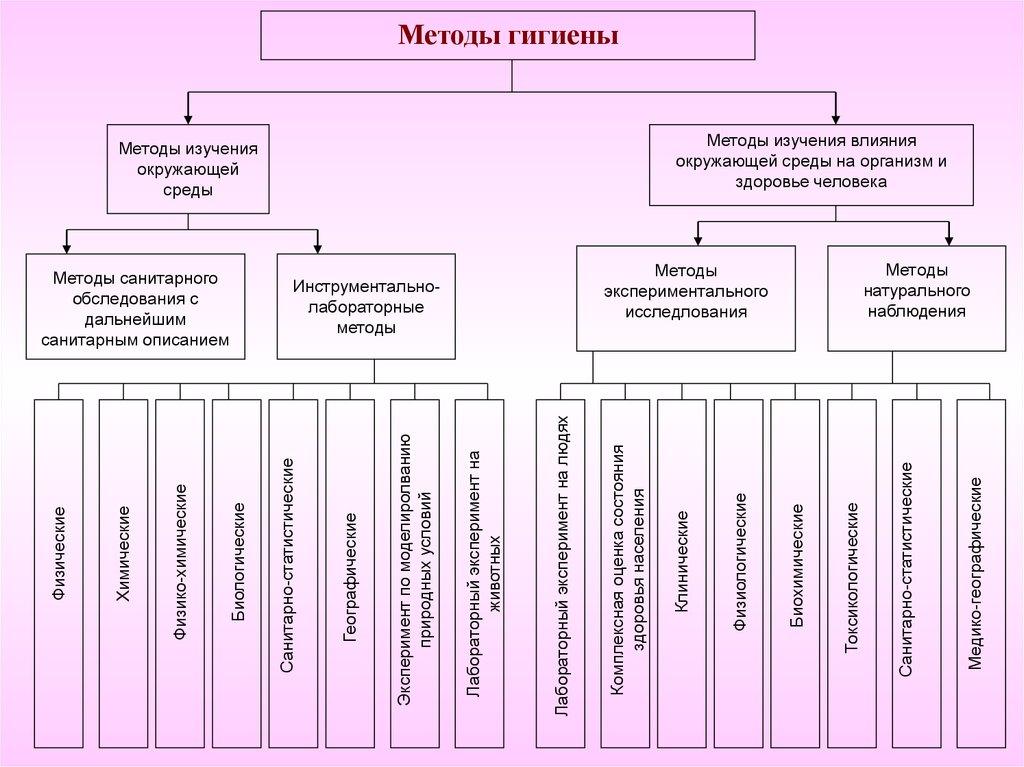 Презентация гигиена окружающей среды