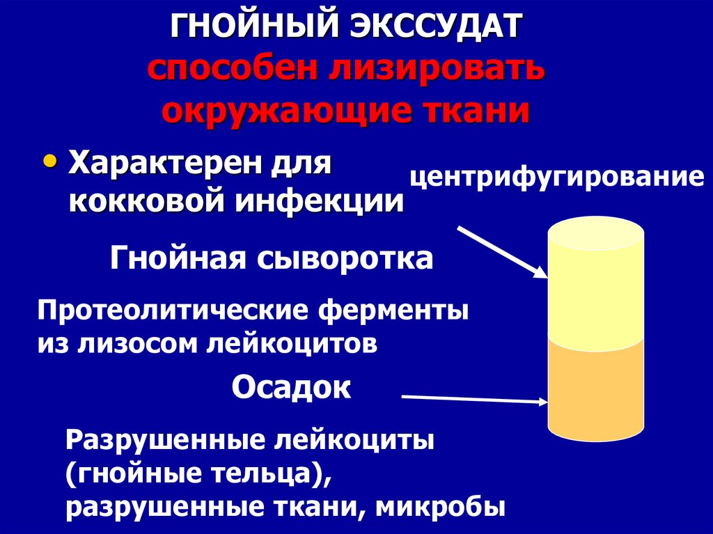 Протеолитические свойства бактерий