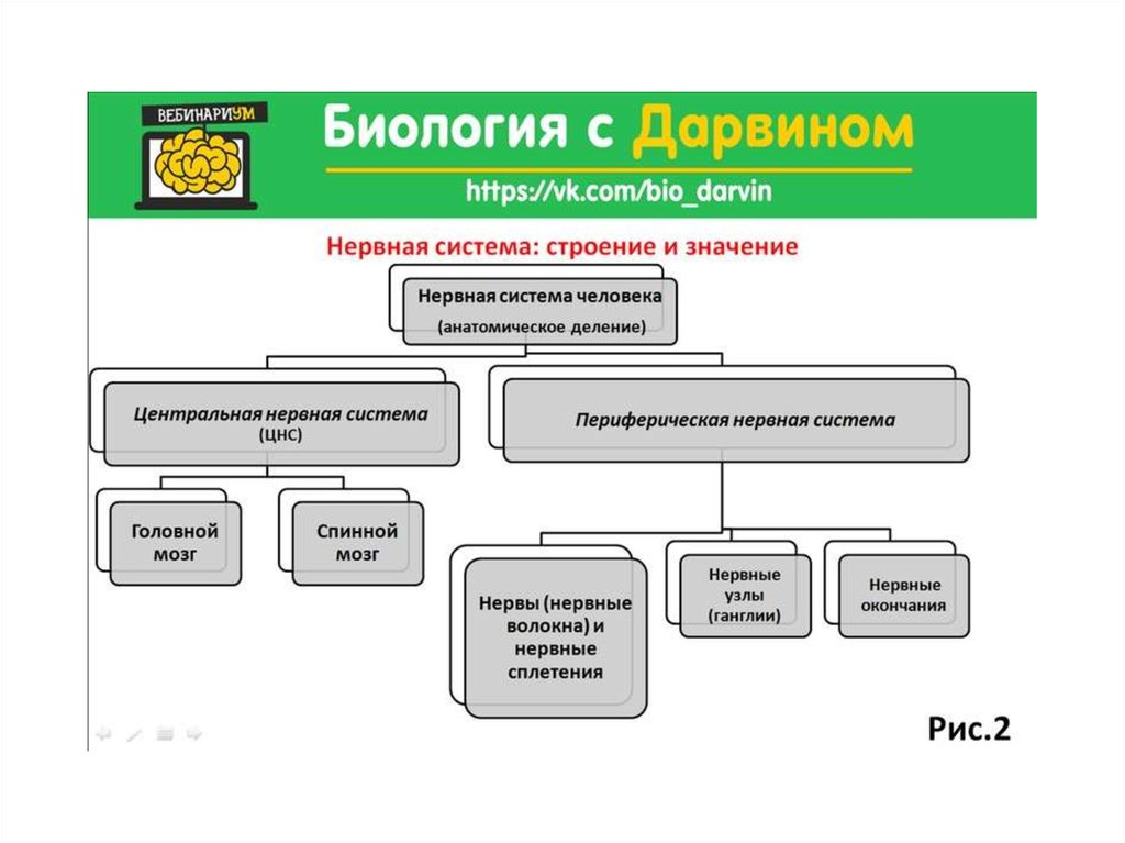 Система что это значит. Структура системы игры.