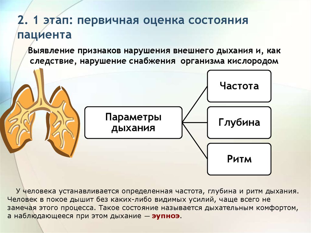 К методам первичной оценки относятся