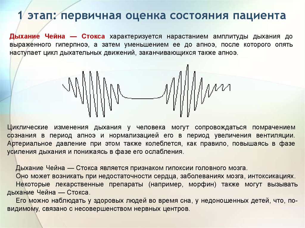 Первичная оценка. Первичная оценка состояния пациента. Проведение оценки состояния пациента. 1 Этап оценка состояния пациента. Проведите первичную оценку состояния пациента.