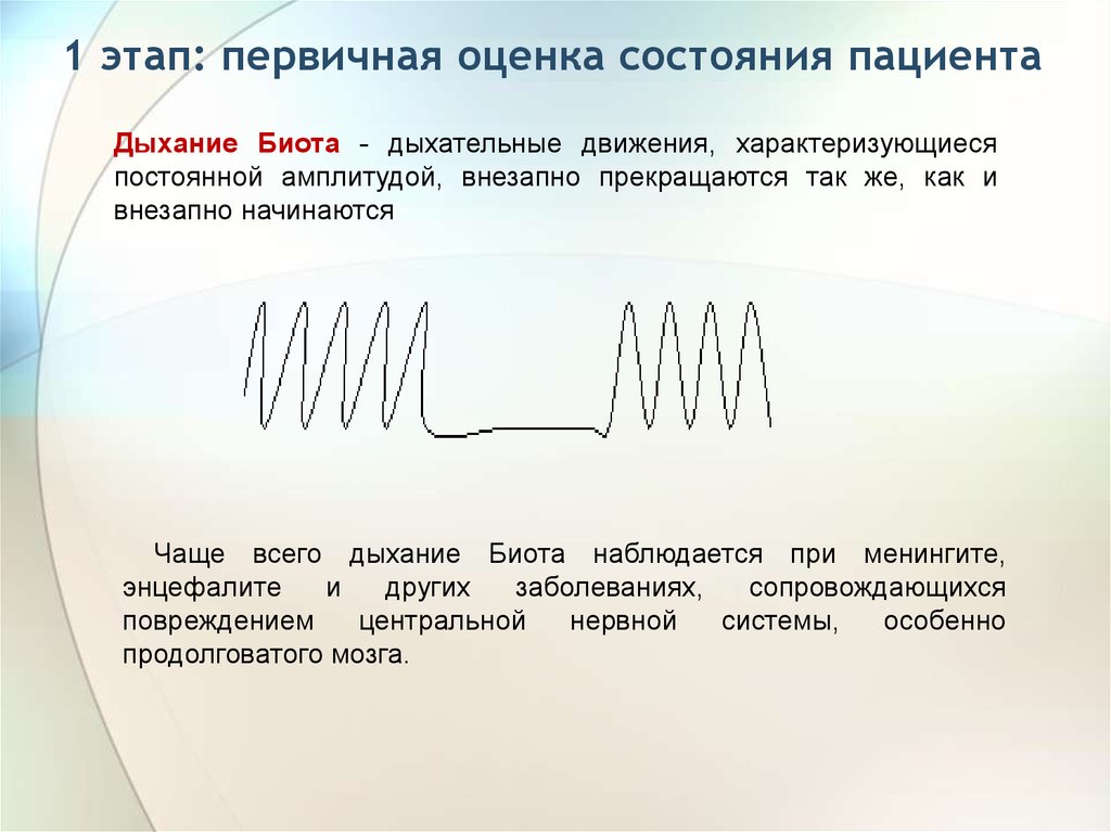 Потребности дыхания. Первичная оценка пациента. Дыхание Биота. Дыхание Биота характеризуется. Проведение первичной оценки состояния пациента.