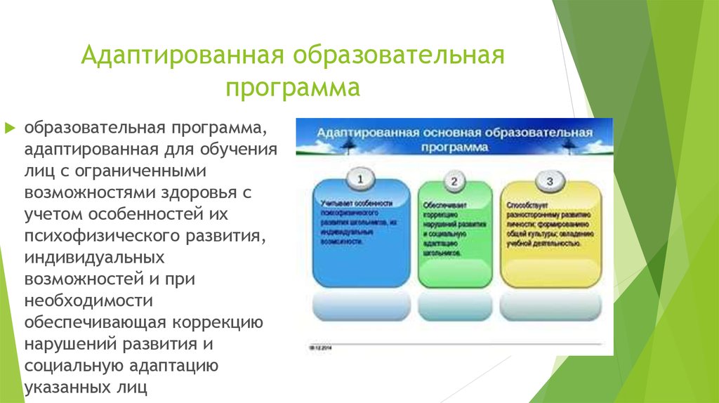 Какая функция образования выдвигается в адаптированной образовательной программе на первый план