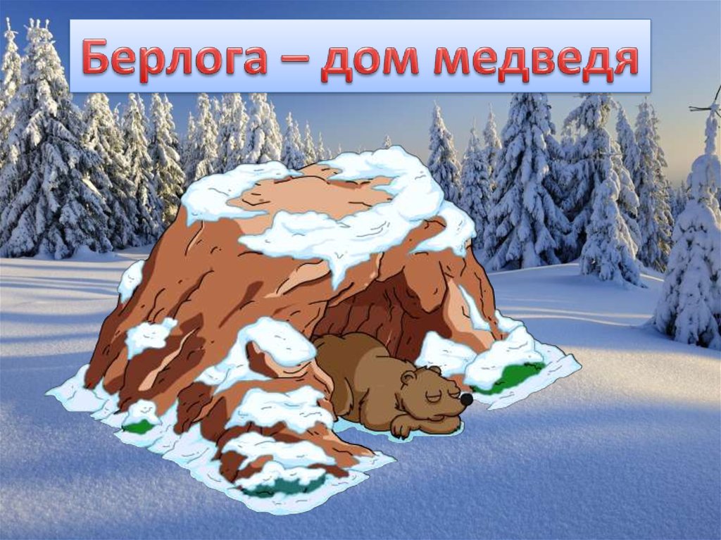 Тема недели животные зимой