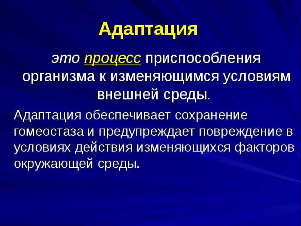 Адаптация организма картинки