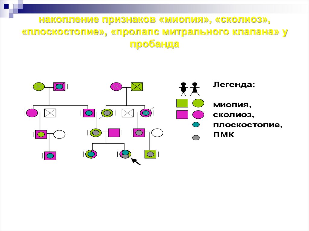 Биологический анамнез ребенка образец заполнения желтая карта