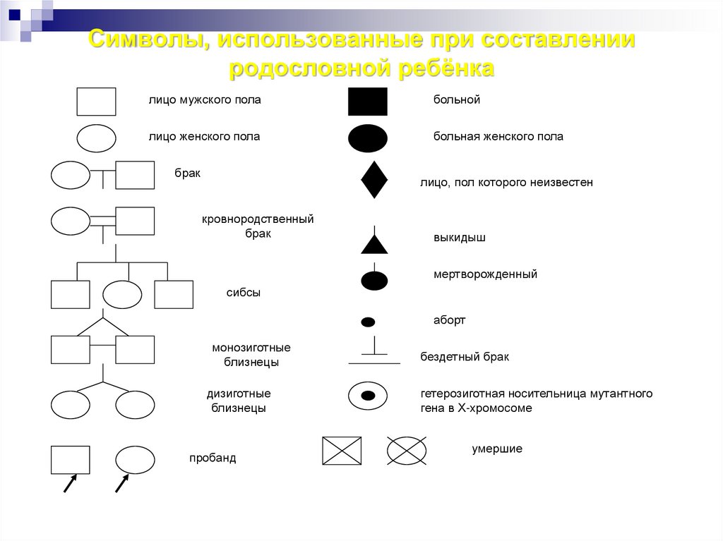 Генеалогический метод схема