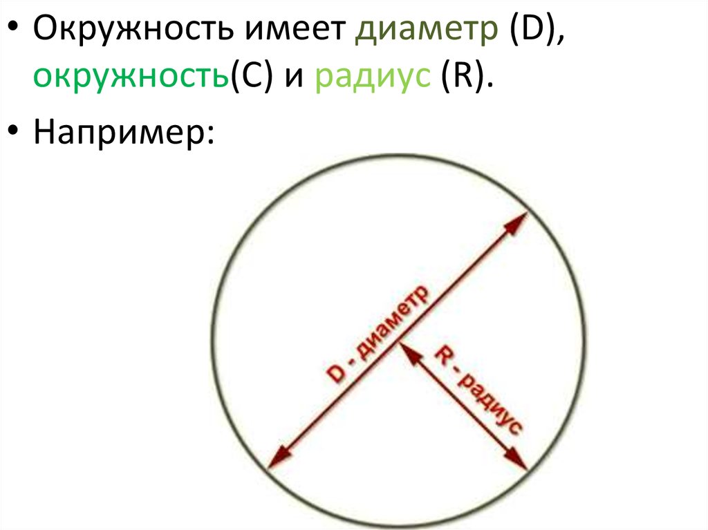 Круг имеет стороны. Диаметр окружности. Сколько круг диаметр. Сколько диаметров имеет окружность. Схема окружности.