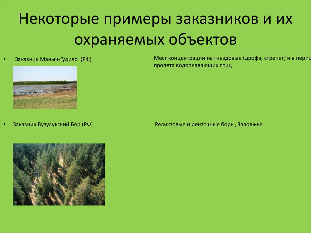 Природный образец. Заказники примеры. Примеры ООПТ заказники. Примеры заказников в России. Примеры охраняемых объектов.